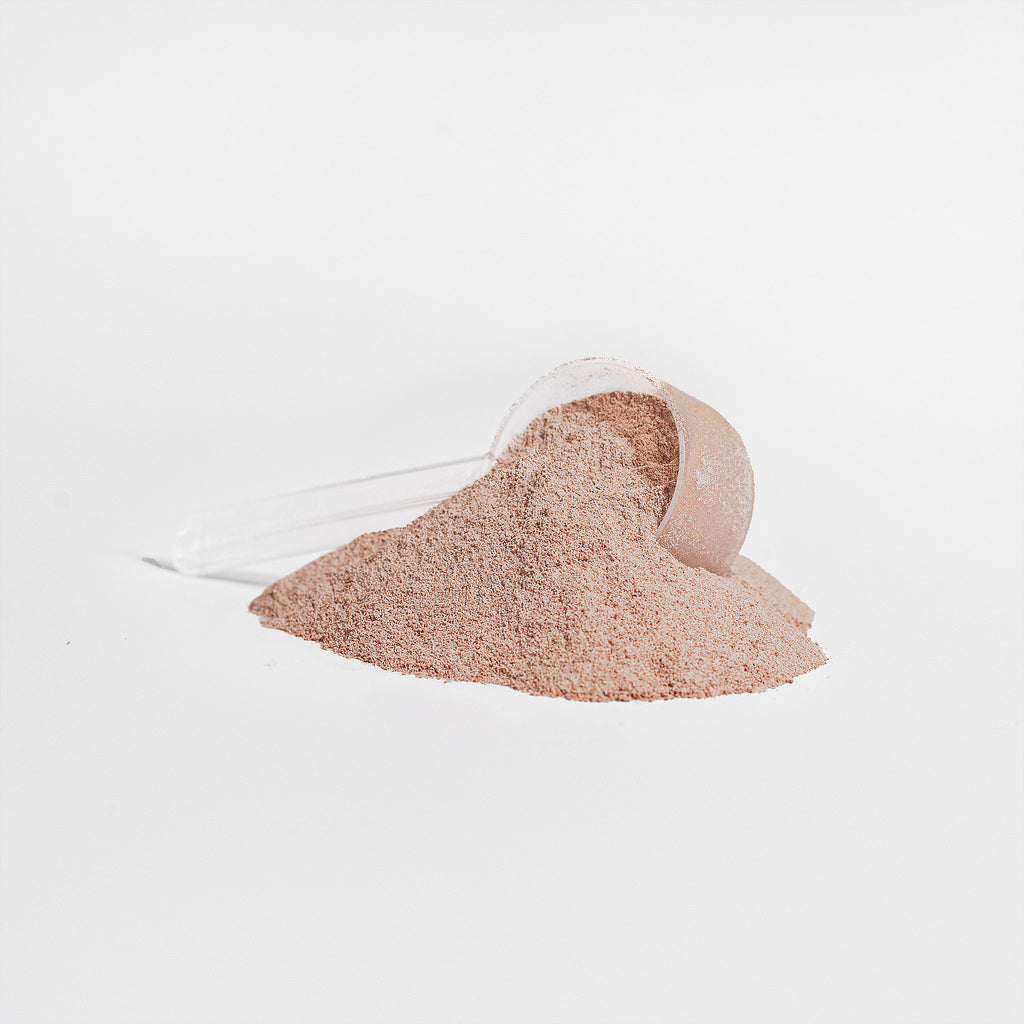 Grass-Fed Collagen Chocolate Protein Powder