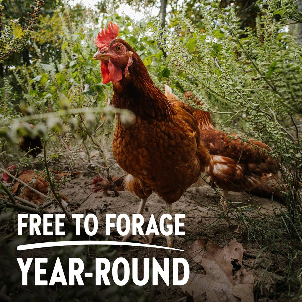 Vital Farms Pasture Raised Eggs