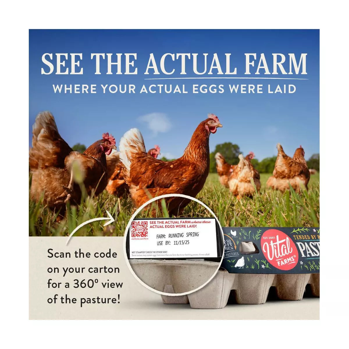 Vital Farms Pasture Raised Eggs