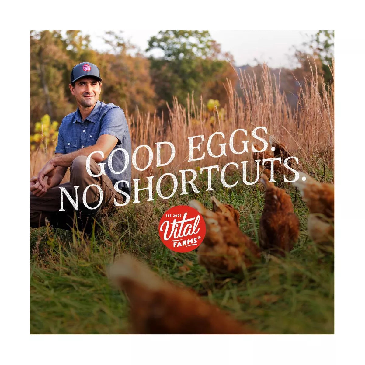 Vital Farms Pasture Raised Eggs